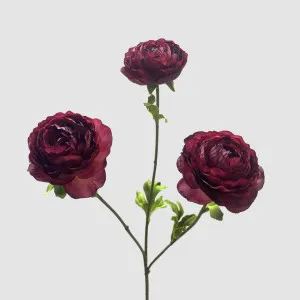 Ranunculus Dark Pink 60cm by Florabelle Living, a Plants for sale on Style Sourcebook