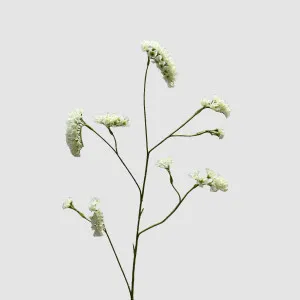 Rosemary White 92cm by Florabelle Living, a Plants for sale on Style Sourcebook