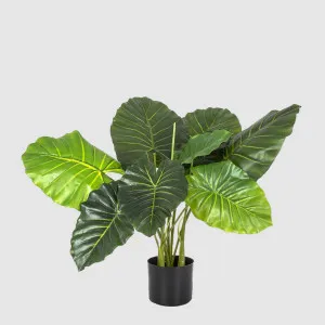 Philo Tree Real Touch 68cm by TREE CREATIONS, a Plants for sale on Style Sourcebook