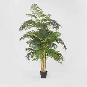 Palm Tree Real Touch 190cm by TREE CREATIONS, a Plants for sale on Style Sourcebook