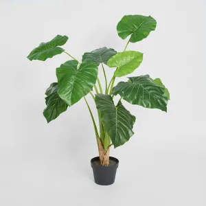 Philo Real Touch 90cm by TREE CREATIONS, a Plants for sale on Style Sourcebook