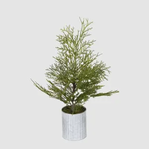 Potted Pine Tree in Tin Small by Vixen & Velvet, a Christmas for sale on Style Sourcebook
