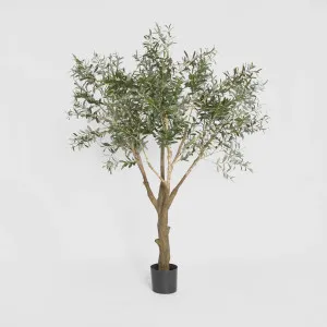 Olive Tree with 3366 Leaves Green 190cm by TREE CREATIONS, a Plants for sale on Style Sourcebook