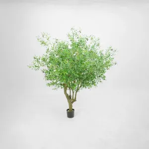 Giant Olive Tree With 9384 Leaves 216 Fruits Green 153cm by TREE CREATIONS, a Plants for sale on Style Sourcebook