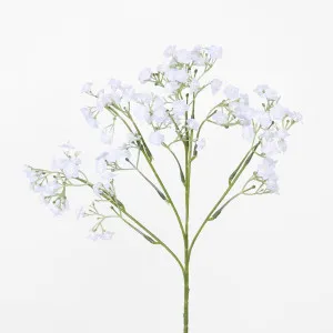 Baby's Breath Stem White by JMC FLORALS, a Plants for sale on Style Sourcebook