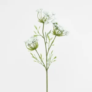 Queen Anne's Lace Spray White by JMC FLORALS, a Plants for sale on Style Sourcebook