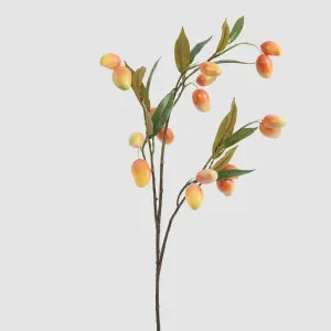 Orange Mango Stem by Florabelle Living, a Plants for sale on Style Sourcebook
