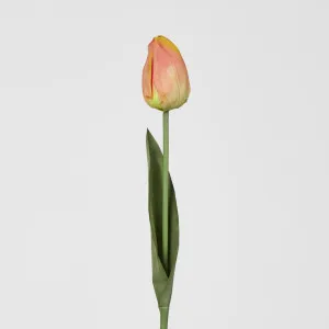 Liv Soft Touch Tulip Orange
45cm by Florabelle Living, a Plants for sale on Style Sourcebook