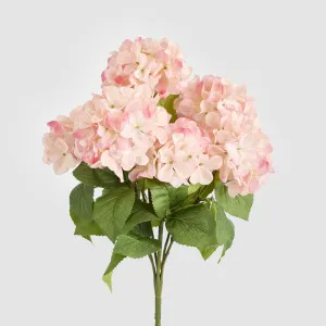 Hydrangea Bush With 7 Heads Pink by Florabelle Living, a Plants for sale on Style Sourcebook