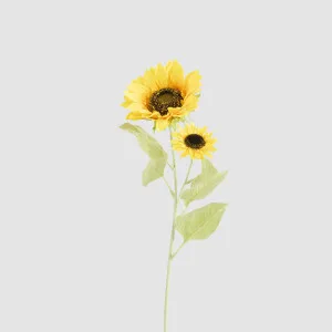 Sunflower Stem With 2 Heads by JMC FLORALS, a Plants for sale on Style Sourcebook