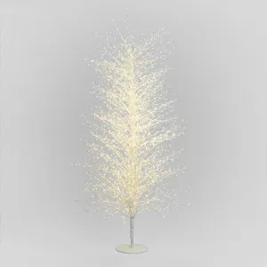 White Forest Light Up Tree Extra Large 210cm by Vixen & Velvet, a Christmas for sale on Style Sourcebook