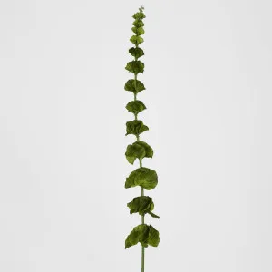 Bells-of-Ireland Stem by Florabelle Living, a Plants for sale on Style Sourcebook