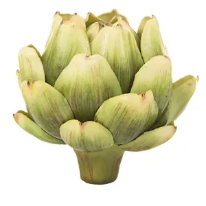 Artichoke Green by Florabelle Living, a Statues & Ornaments for sale on Style Sourcebook