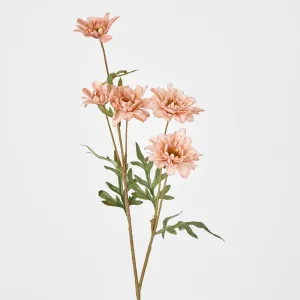 Daisy Spray White Pink 75cm by JMC FLORALS, a Plants for sale on Style Sourcebook