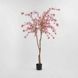Cherry Blossoms Tree 150cm by TREE CREATIONS, a Plants for sale on Style Sourcebook