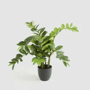 Real Touch Zanzibar 130cm by TREE CREATIONS, a Plants for sale on Style Sourcebook