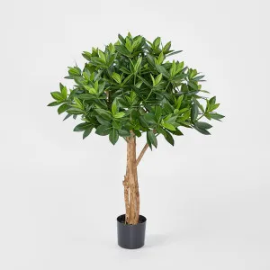 Sweet Link Tree 90cm by TREE CREATIONS, a Plants for sale on Style Sourcebook