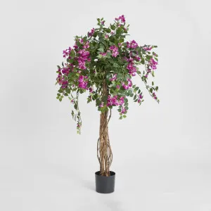 Bougainvillea Tree 1.6m by TREE CREATIONS, a Plants for sale on Style Sourcebook