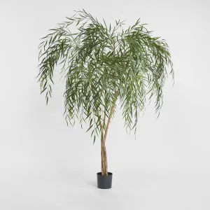 Willow Tree 1.8m by TREE CREATIONS, a Plants for sale on Style Sourcebook