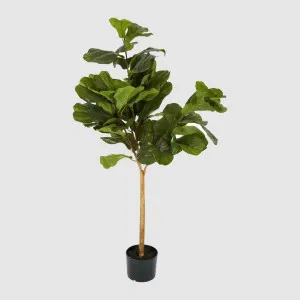 Fiddle Leaf Tree Real Touch 1.32m by TREE CREATIONS, a Christmas for sale on Style Sourcebook