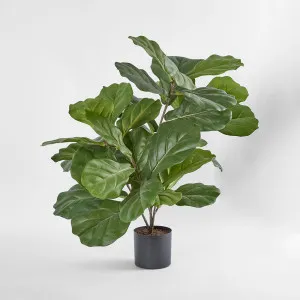 Fiddle Leaf Fig Potted Plant 65cm by TREE CREATIONS, a Christmas for sale on Style Sourcebook