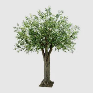 Olive Giant Tree 16524 Lvs 336 Fruits by TREE CREATIONS, a Plants for sale on Style Sourcebook