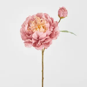 Peony Stem 61cm Pink by Florabelle Living, a Plants for sale on Style Sourcebook