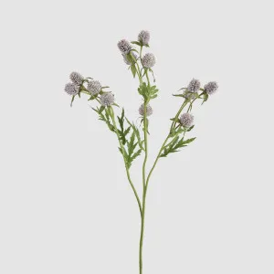 Thistle Spray 73cm Purple by JMC FLORALS, a Plants for sale on Style Sourcebook
