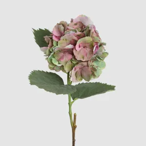 Hydrangea Large Stem With Leaves 75cm Light Pink by Florabelle Living, a Plants for sale on Style Sourcebook
