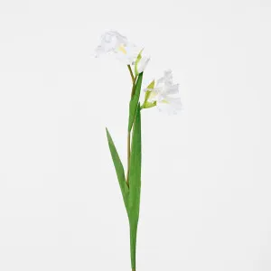 Iris Stem White by JMC FLORALS, a Plants for sale on Style Sourcebook