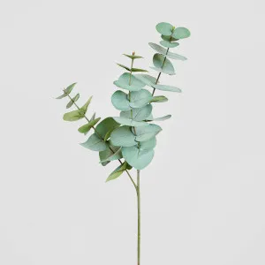 Eucalyptus Spray Grey Green by JMC FLORALS, a Plants for sale on Style Sourcebook