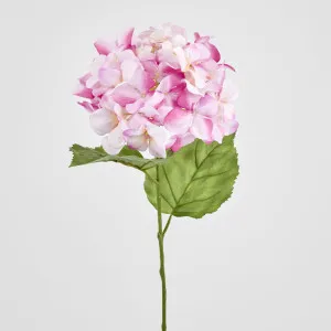 Domed Hydrangea 68cm Dark Pink by JMC FLORALS, a Plants for sale on Style Sourcebook