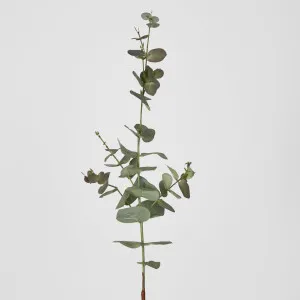 Eucalyptus Spray 74cm Dark Green by Florabelle Living, a Plants for sale on Style Sourcebook