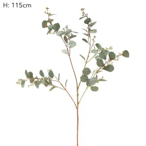 Eucalyptus berry Seed Spray 1.2m by Florabelle Living, a Plants for sale on Style Sourcebook