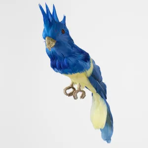 Jacques Crested Blue Bird by Vixen & Velvet, a Christmas for sale on Style Sourcebook