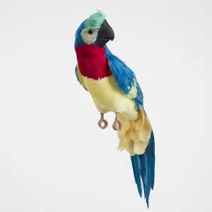 Marron Blue Parrot by Vixen & Velvet, a Christmas for sale on Style Sourcebook