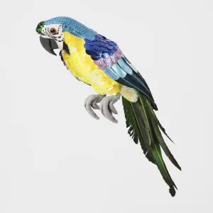 Azure Yellow Belly Parrot Large by Vixen & Velvet, a Christmas for sale on Style Sourcebook