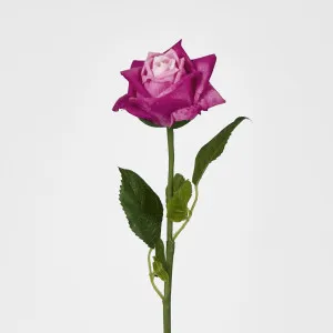Ingrid Rose Real Touch Fuschia
46cm by Florabelle Living, a Plants for sale on Style Sourcebook
