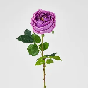 Dianna Real Touch Rose Steam Lilac
60cm by Florabelle Living, a Plants for sale on Style Sourcebook