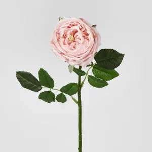 Dianna Real Touch Rose Steam Light Pink
60cm by Florabelle Living, a Plants for sale on Style Sourcebook