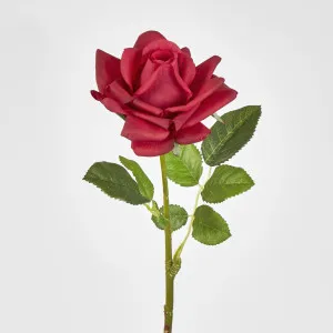 Winston Rose Real Touch Fuschia
45cm by Florabelle Living, a Plants for sale on Style Sourcebook