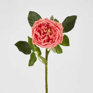 Dianna Real Touch Rose Steam Orange
60cm by Florabelle Living, a Plants for sale on Style Sourcebook