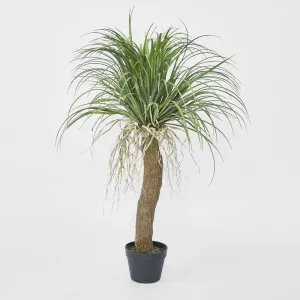 Grass Tree Small 1.1m by TREE CREATIONS, a Plants for sale on Style Sourcebook