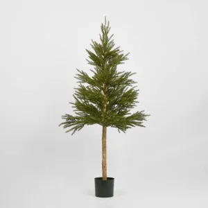 Scandi Spruce Tree 150cm by Vixen & Velvet, a Christmas for sale on Style Sourcebook