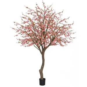 2.9m Cherry Blossom Tree w/3315 Leaves by TREE CREATIONS, a Plants for sale on Style Sourcebook