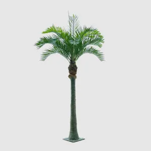 Coconut Palm 4.5m by TREE CREATIONS, a Plants for sale on Style Sourcebook