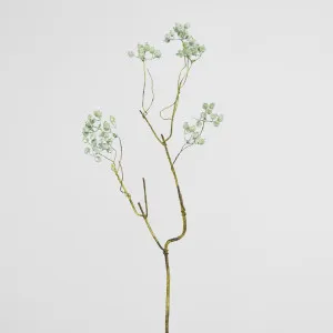 Berry Spray Green by JMC FLORALS, a Plants for sale on Style Sourcebook