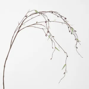 Pussy Willow Stem by JMC FLORALS, a Plants for sale on Style Sourcebook