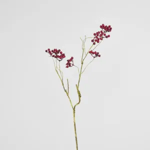 Berry Spray Red by JMC FLORALS, a Plants for sale on Style Sourcebook
