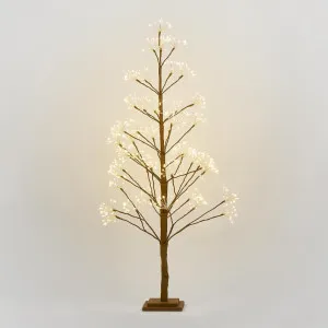 Nature Brown Starry Tree 120cm With 660LED by Vixen & Velvet, a Christmas for sale on Style Sourcebook